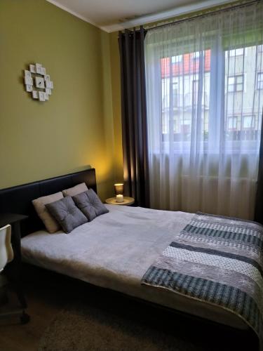 ギジツコにあるApartament Rodzinnyのベッドルーム1室(ベッド1台、大きな窓付)