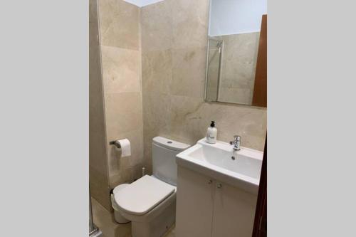 W łazience znajduje się toaleta, umywalka i lustro. w obiekcie Cozy Loft Malaga Centre II w Maladze