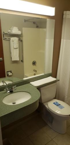 a bathroom with a sink and a toilet and a mirror at York Microtel Inn & Suites by Wyndham in York
