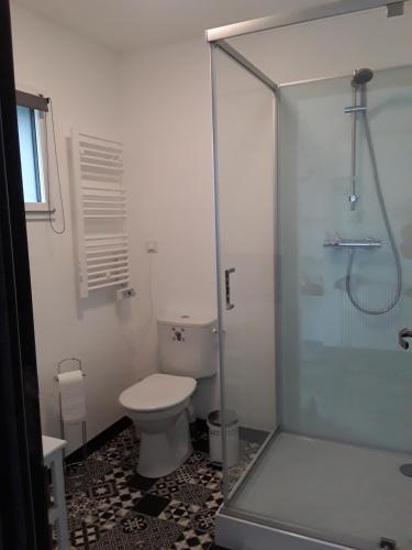 une salle de bain avec toilettes et douche en verre dans l'établissement Gîte les Oliviers les HERBIERS, aux Herbiers