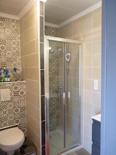 une salle de bain avec douche et toilettes dans l'établissement Maison à la Campagne, à Blis-et-Born