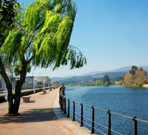 a tree on a sidewalk next to a body of water at A Casa Antiga do Monte Apartamentos Turísticos - Pontecesures in Padrón