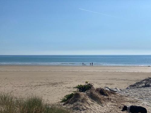 a dog laying on a sandy beach near the ocean at Maison proche de la mer, Normandie in Surville