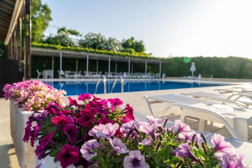 a bunch of flowers on a table next to a pool at Abella Hotel in Agia Marina Nea Kydonias