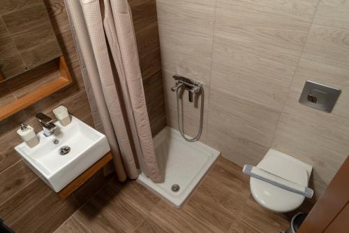 a bathroom with a shower and a sink and a toilet at Abella Hotel in Agia Marina Nea Kydonias