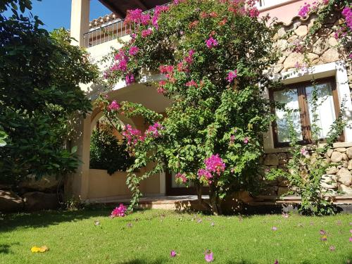 Κήπος έξω από το Hotel Mariposas