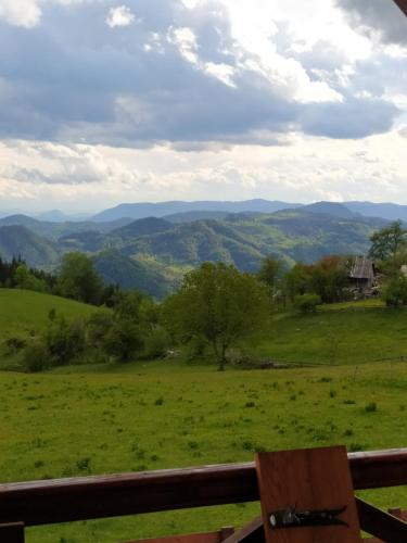 a bench in a field with mountains in the background at VILA PLANINSKI SAN in Sekulić 