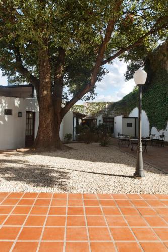 Casa del Casco – Photos 5