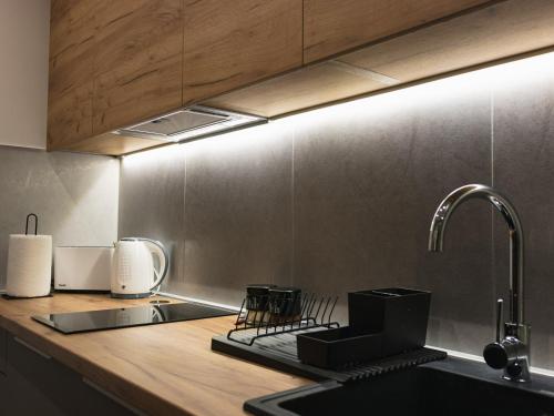 a kitchen with a sink and a counter with a faucet at My Space apartment in Subotica