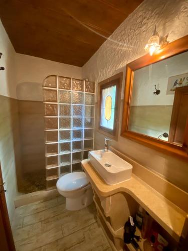 a bathroom with a sink and a toilet and a mirror at Finca Ses Fontanelles in Andratx