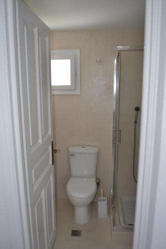 a bathroom with a white toilet and a shower at Studio Ioanna Tinos in Kionia