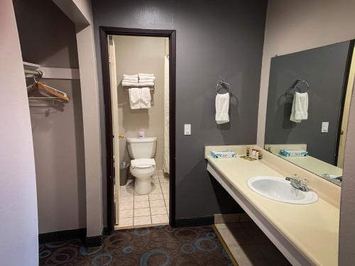 Un baño con lavabo, inodoro y espejo. en Ventura Grand Inn, en Mammoth Lakes