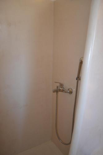a bathroom with a shower with a hose at Studio Ioanna Tinos in Kionia