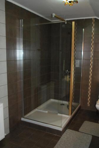 a shower with a glass door in a bathroom at Vila Magnolia in Curtea de Argeş