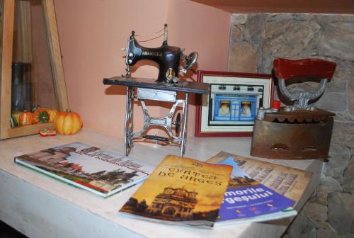 a counter with books and a sewing machine on it at Vila Magnolia in Curtea de Argeş
