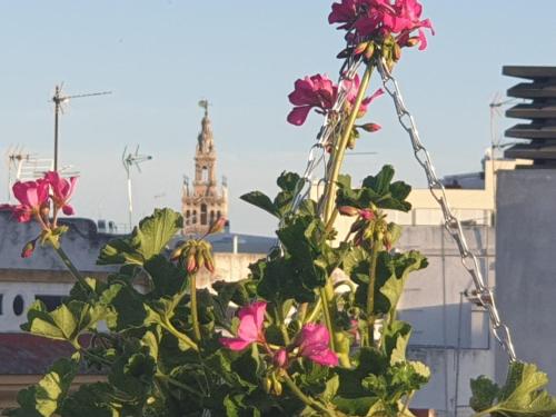 Apartment DOÑA LOLA CORNER, Seville, Spain - Booking.com