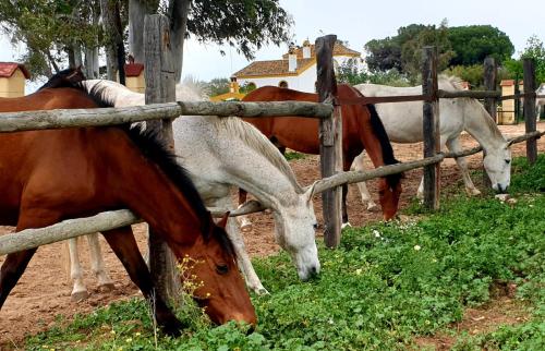 Posada Rural La Corbera