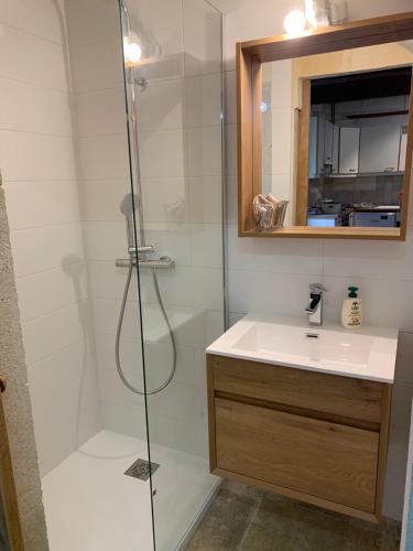 une salle de bain avec douche et lavabo dans l'établissement Gite de la Tour des Abbés, à Fontvieille