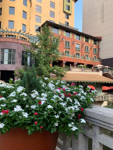Hotel Valencia Riverwalk, San Antonio – Updated 2024 Prices