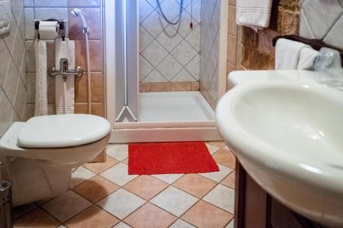 a bathroom with a toilet and a sink and a shower at All'Ombra del Castello in Cigliè