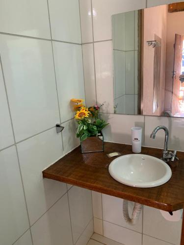 a bathroom with a sink and a mirror and flowers at Vila Flores Pousada in Serra do Cipo