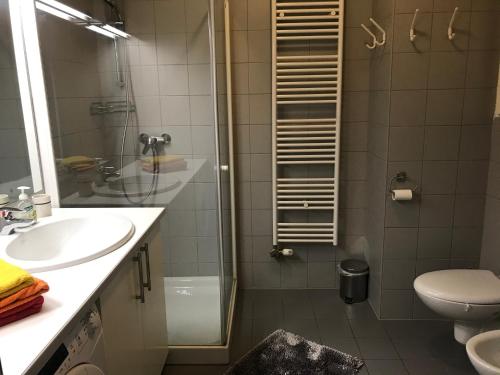 a bathroom with a shower and a toilet and a sink at Apartment Lesnina in Kranjska Gora
