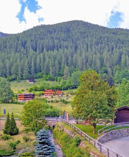 a bridge over a river next to a mountain at Casa vacanze Heidi e Peter Val di Rabbi in Rabbi