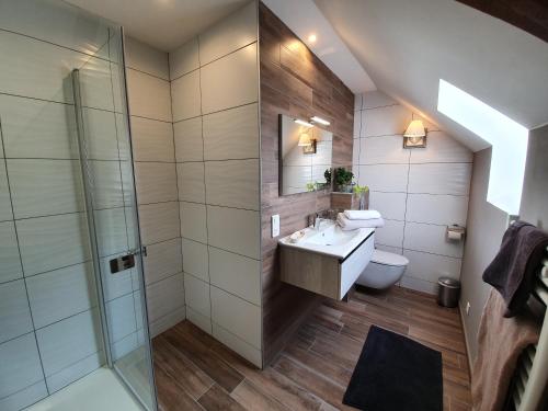 a bathroom with a sink and a shower at Graine de Reves in Saint-Sauveur-la-Pommeraye