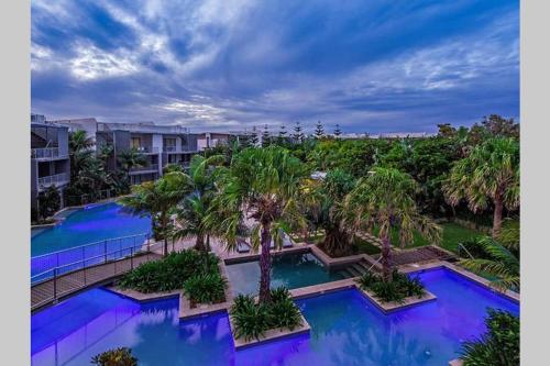 - une vue aérienne sur une piscine bordée de palmiers dans l'établissement Top-floor beachside apartment with views, à Casuarina