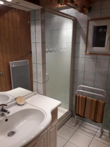 y baño con lavabo y ducha. en chalet cathy, en Laveissière