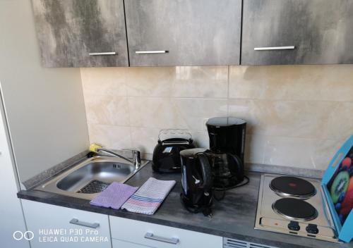 - un comptoir de cuisine avec évier et four micro-ondes dans l'établissement Gästewohnung 1, à Oschersleben