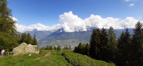 une colline verdoyante avec des arbres et une montagne en arrière-plan dans l'établissement La Casa di Allo, à Charvensod