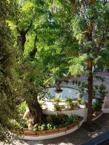 Patio andaluz siglo XVI