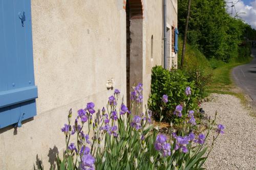 a bunch of purple flowers next to a building at La Source de Bury in Chambon-sur-Cisse
