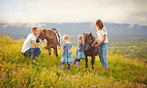 a family with two children and two horses in a field at Storefjell Resort Hotel in Gol