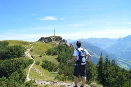 Příroda nedaleko apartmánu