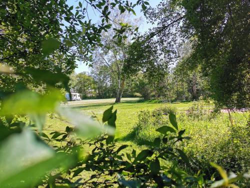a view of a park with trees and grass at Frederiksværk Camping & Hostel in Frederiksværk
