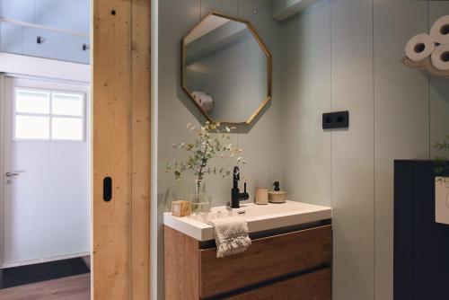 a bathroom with a sink and a mirror at Bed and Breakfast Het Emmapark Medemblik in Medemblik