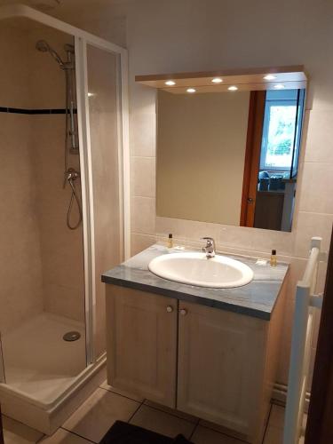 a bathroom with a sink and a shower and a mirror at studio 26 m2 tout équipé in Modane