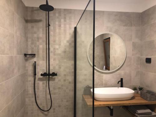 a bathroom with a shower and a sink and a mirror at Apartments & Room Piutti in Bale