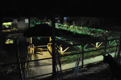 a dog standing in front of a fence at night at Solitary Nook in Gosāba