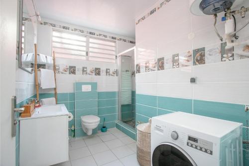a bathroom with a washing machine and a toilet at Le Brin d'Amour Apartment in La Trinité