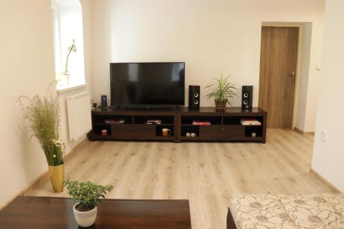 a living room with a flat screen tv on a entertainment center at Apartmány u Beka in Loučná nad Desnou