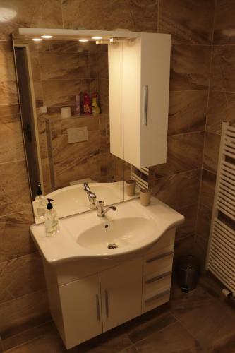 a bathroom with a white sink and a mirror at Apartmány u Beka in Loučná nad Desnou