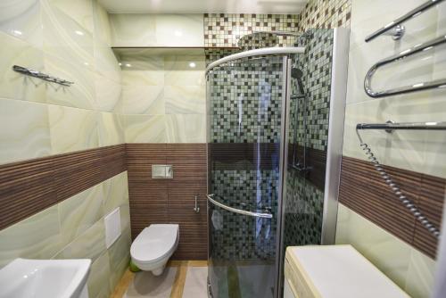 un bagno con doccia e WC di Cozy Seaside Studio a Palanga