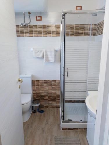 a bathroom with a shower and a toilet and a sink at Villa Ivana in Rome