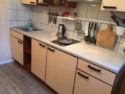 a kitchen with a sink and a counter top at Apartamentai - Gintaro Įlanka in Juodkrantė