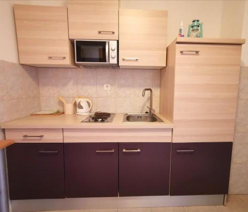 Η κουζίνα ή μικρή κουζίνα στο Apartmani Koin