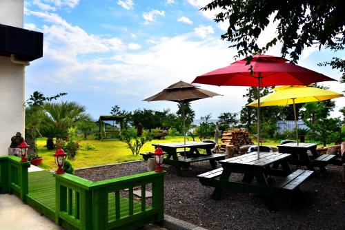 Taman di luar Jeju Bada Wi Olle Pension