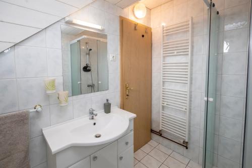 y baño con lavabo y ducha acristalada. en Apartment Kikelj, en Bohinj
